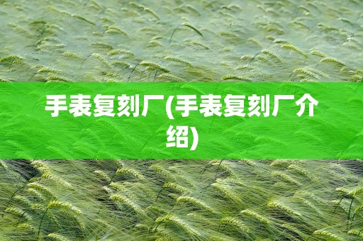手表复刻厂(手表复刻厂介绍)