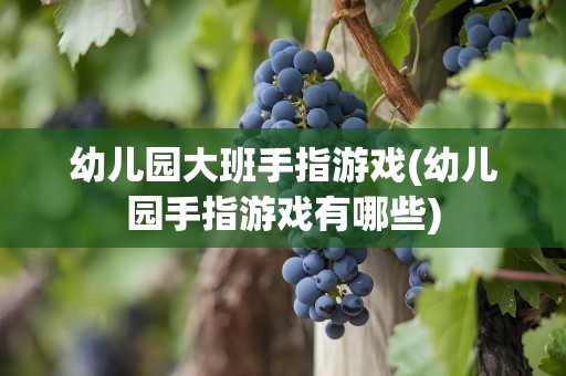 幼儿园大班手指游戏(幼儿园手指游戏有哪些)