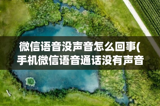 微信语音没声音怎么回事(手机微信语音通话没有声音怎么回事)