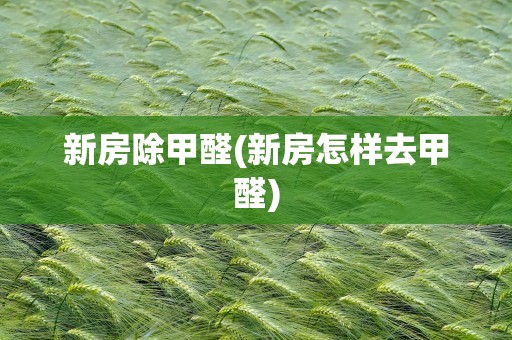 新房除甲醛(新房怎样去甲醛)