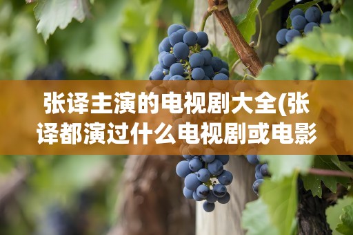 张译主演的电视剧大全(张译都演过什么电视剧或电影)