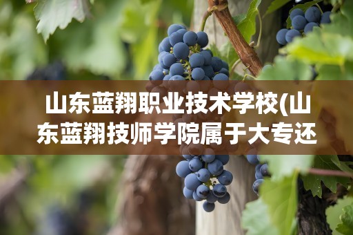 山东蓝翔职业技术学校(山东蓝翔技师学院属于大专还是职高)