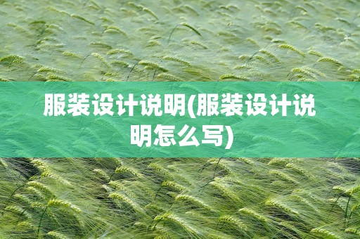 服装设计说明(服装设计说明怎么写)
