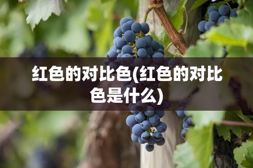 红色的对比色(红色的对比色是什么)