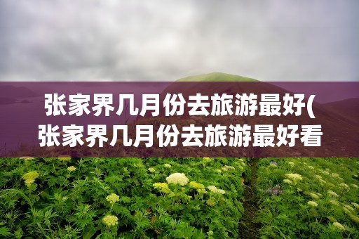 张家界几月份去旅游最好(张家界几月份去旅游最好看)