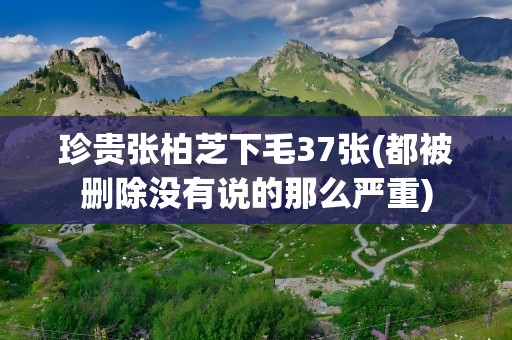 珍贵张柏芝下毛37张(都被删除没有说的那么严重)