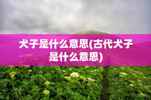 犬子是什么意思(古代犬子是什么意思)