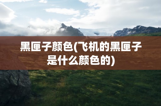 黑匣子颜色(飞机的黑匣子是什么颜色的)