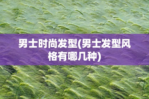 男士时尚发型(男士发型风格有哪几种)
