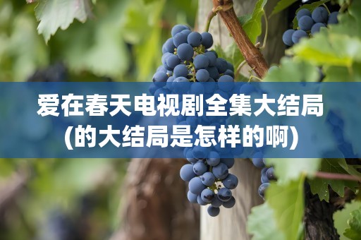 爱在春天电视剧全集大结局(的大结局是怎样的啊)