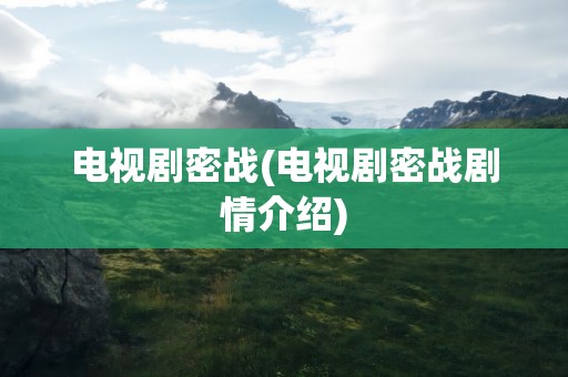 电视剧密战(电视剧密战剧情介绍)