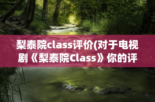梨泰院class评价(对于电视剧《梨泰院Class》你的评价是怎样的)