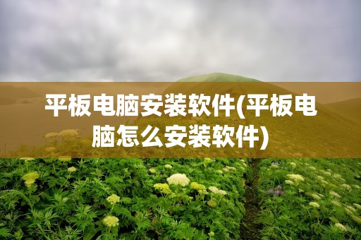 平板电脑安装软件(平板电脑怎么安装软件)