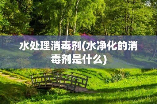 水处理消毒剂(水净化的消毒剂是什么)