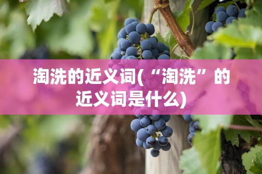 淘洗的近义词(“淘洗”的近义词是什么)
