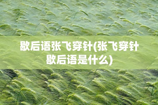 歇后语张飞穿针(张飞穿针歇后语是什么)