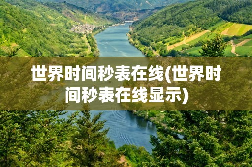 世界时间秒表在线(世界时间秒表在线显示)