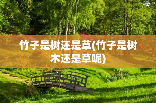 竹子是树还是草(竹子是树木还是草呢)