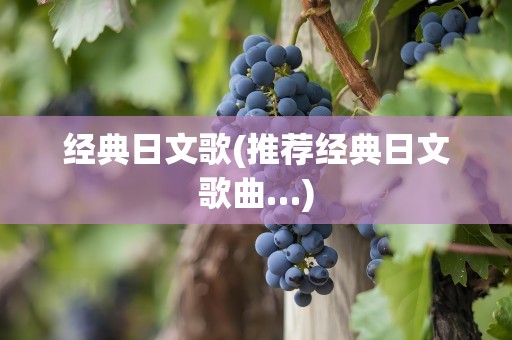 经典日文歌(推荐经典日文歌曲…)