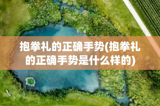 抱拳礼的正确手势(抱拳礼的正确手势是什么样的)