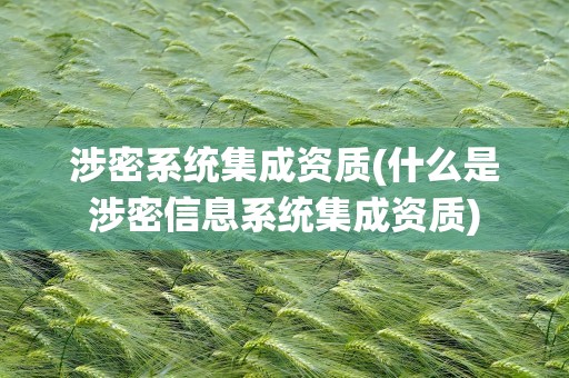 涉密系统集成资质(什么是涉密信息系统集成资质)
