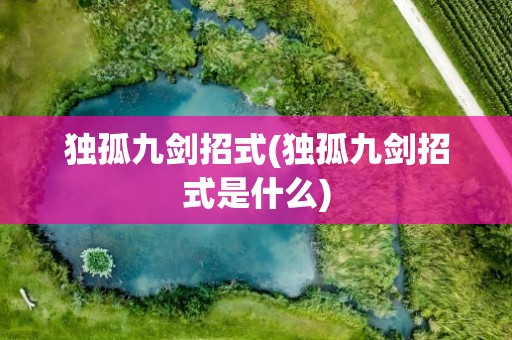 独孤九剑招式(独孤九剑招式是什么)