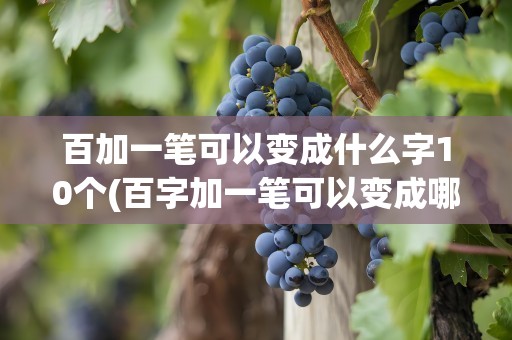 百加一笔可以变成什么字10个(百字加一笔可以变成哪些变新字,,)