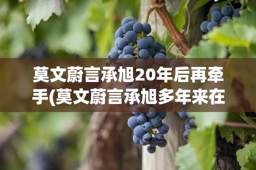 莫文蔚言承旭20年后再牵手(莫文蔚言承旭多年来在合作舞台上再次牵手)