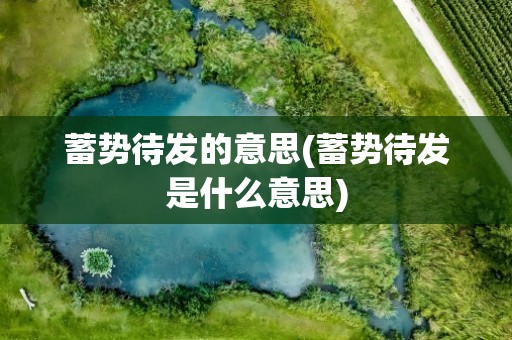 蓄势待发的意思(蓄势待发是什么意思)