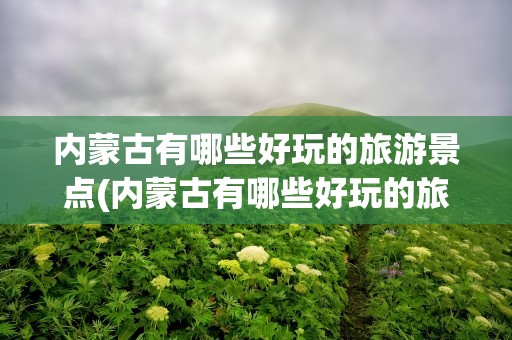 内蒙古有哪些好玩的旅游景点(内蒙古有哪些好玩的旅游景点推荐)