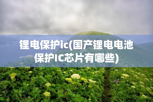 锂电保护ic(国产锂电电池保护IC芯片有哪些)