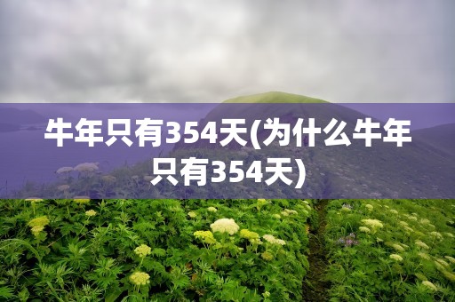 牛年只有354天(为什么牛年只有354天)