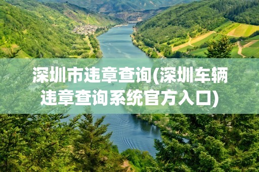 深圳市违章查询(深圳车辆违章查询系统官方入口)