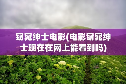 窈窕绅士电影(电影窈窕绅士现在在网上能看到吗)
