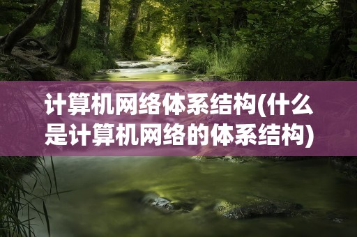 计算机网络体系结构(什么是计算机网络的体系结构)