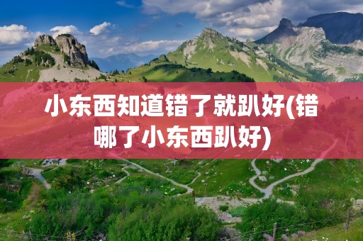 小东西知道错了就趴好(错哪了小东西趴好)