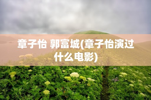 章子怡 郭富城(章子怡演过什么电影)