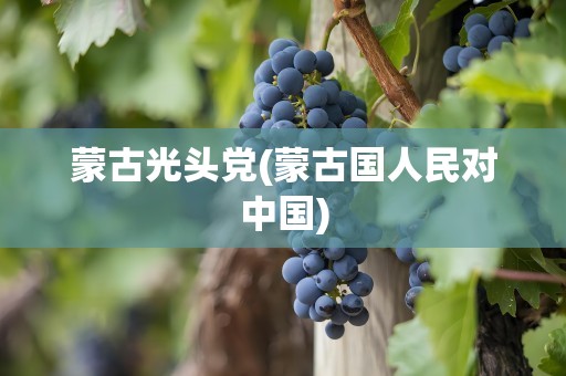 蒙古光头党(蒙古国人民对中国)