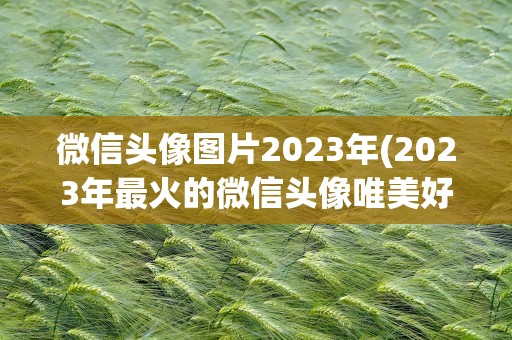 微信头像图片2023年(2023年最火的微信头像唯美好看)