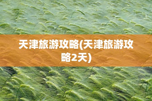 天津旅游攻略(天津旅游攻略2天)