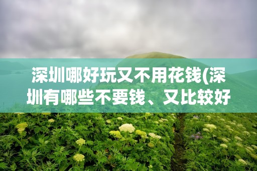 深圳哪好玩又不用花钱(深圳有哪些不要钱、又比较好玩里地方)