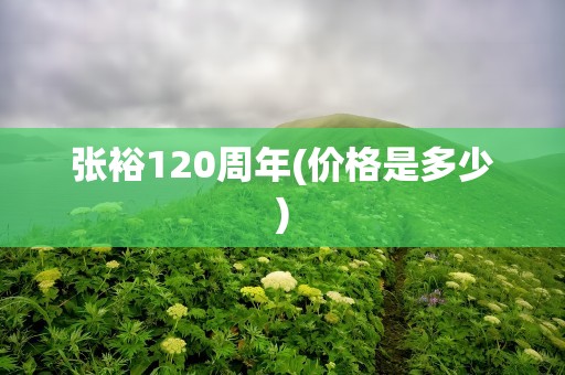 张裕120周年(价格是多少)