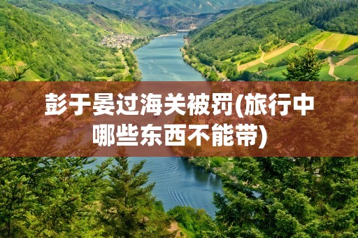 彭于晏过海关被罚(旅行中哪些东西不能带)