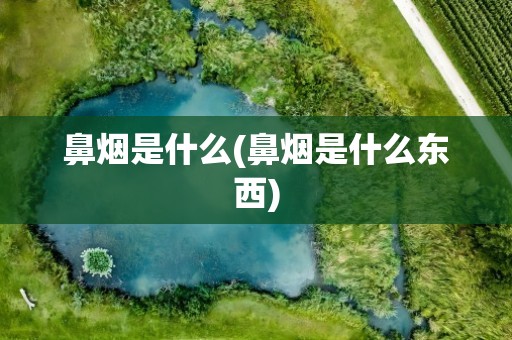 鼻烟是什么(鼻烟是什么东西)
