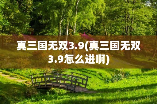 真三国无双3.9(真三国无双3.9怎么进啊)