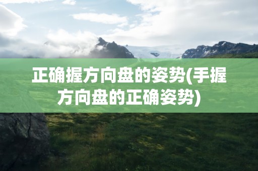 正确握方向盘的姿势(手握方向盘的正确姿势)