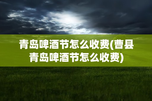 青岛啤酒节怎么收费(曹县青岛啤酒节怎么收费)