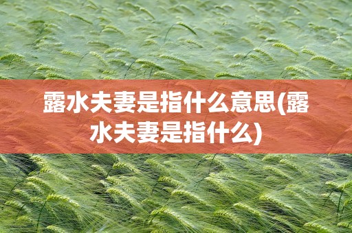 露水夫妻是指什么意思(露水夫妻是指什么)