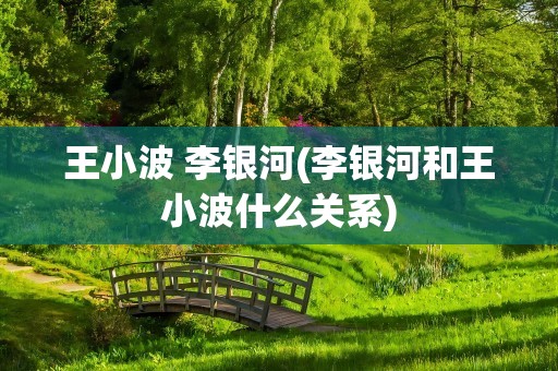 王小波 李银河(李银河和王小波什么关系)