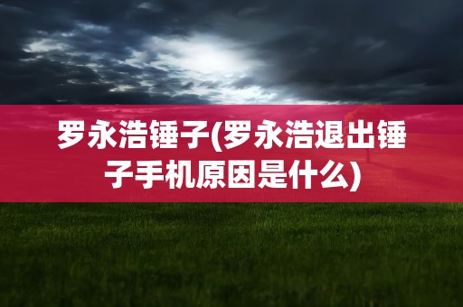罗永浩锤子(罗永浩退出锤子手机原因是什么)
